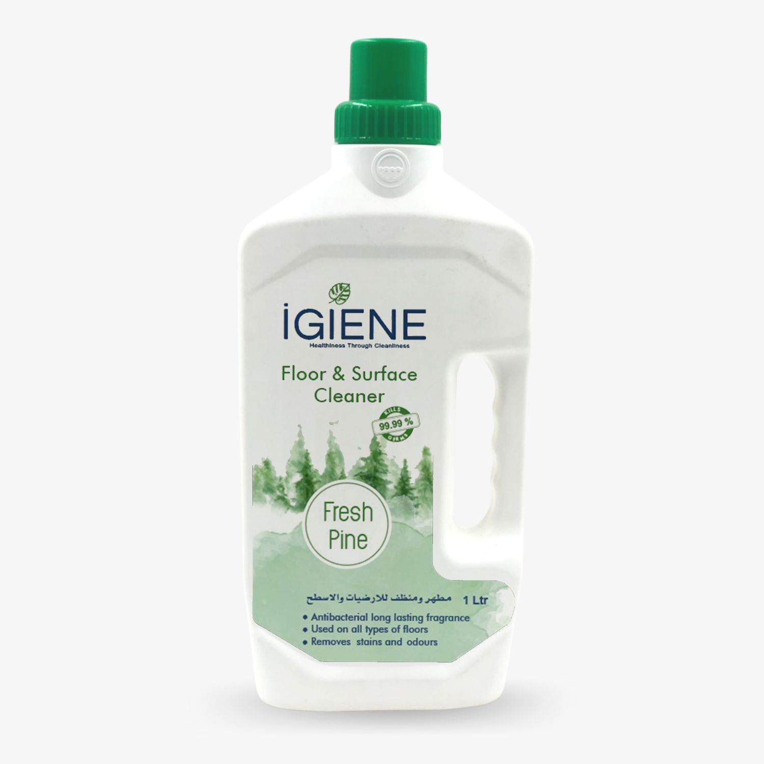 GMT/Igiene - Floor & Surface cleaner - FP - 1L
